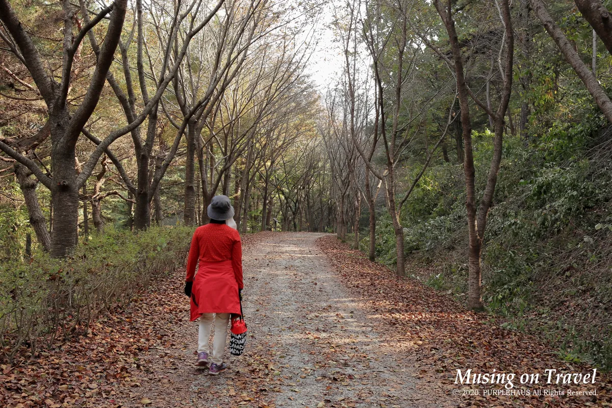 금강수목원 산책로