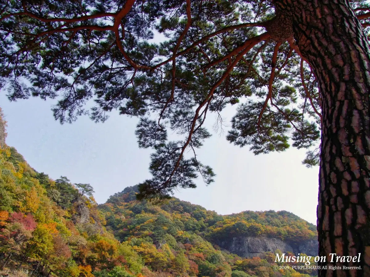 봉화 청량산의 단풍