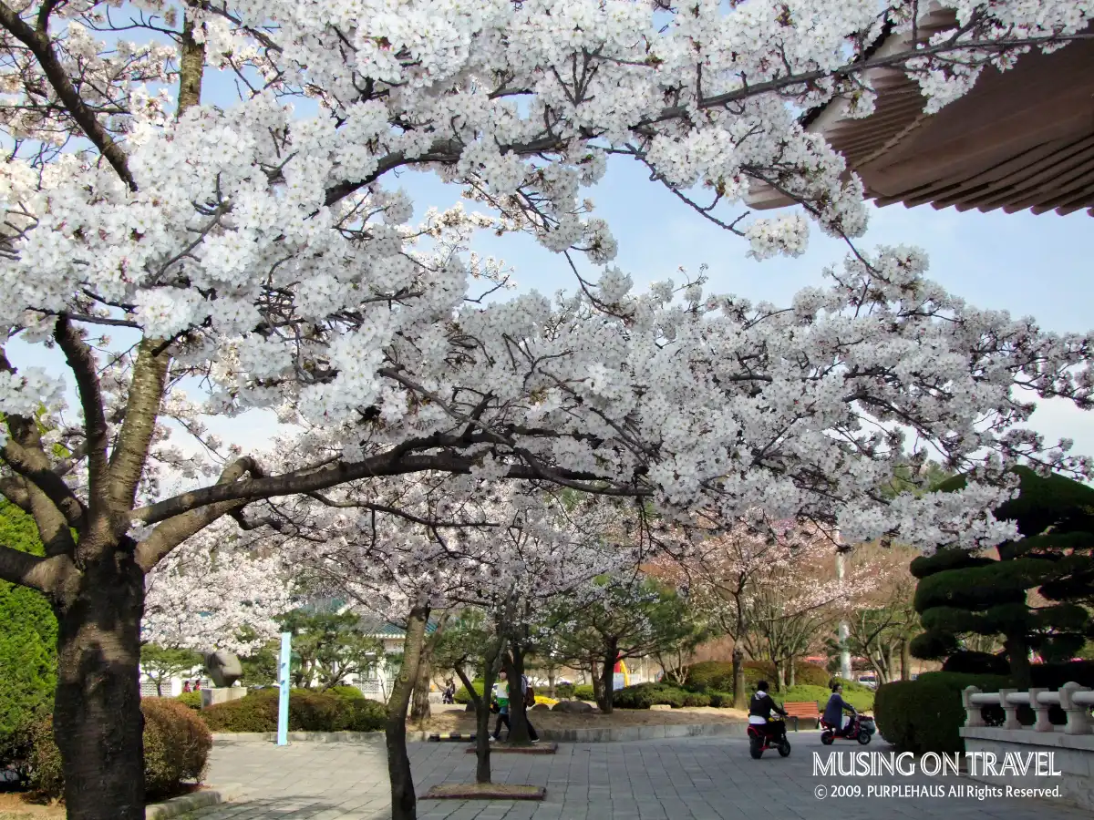 한적한 경주 보문단지