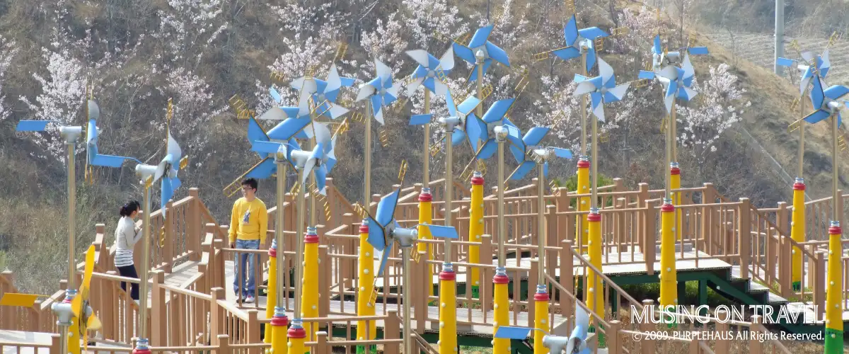 영덕 풍력발전단지의 바람개비 산책로