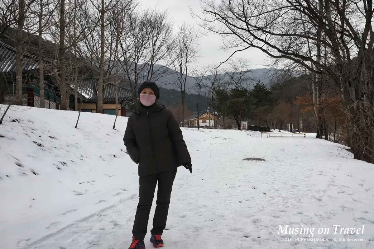 눈 덮인 겨울 마곡사 산책로