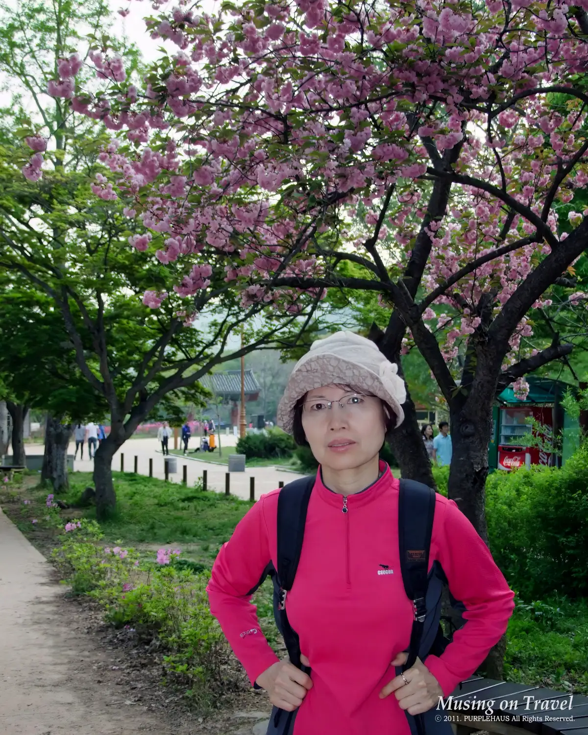 선운사 일주문으로 향하는 길의 겹벚꽃